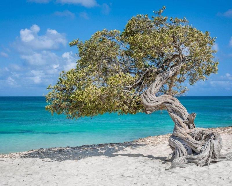 Villa Park Fontein Curacao Bagian luar foto